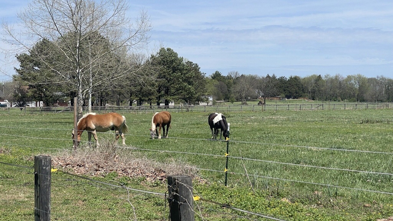 Photo of Others in Smyrna