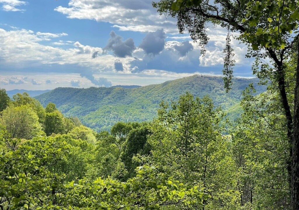 Photo of Others in Maggie Valley