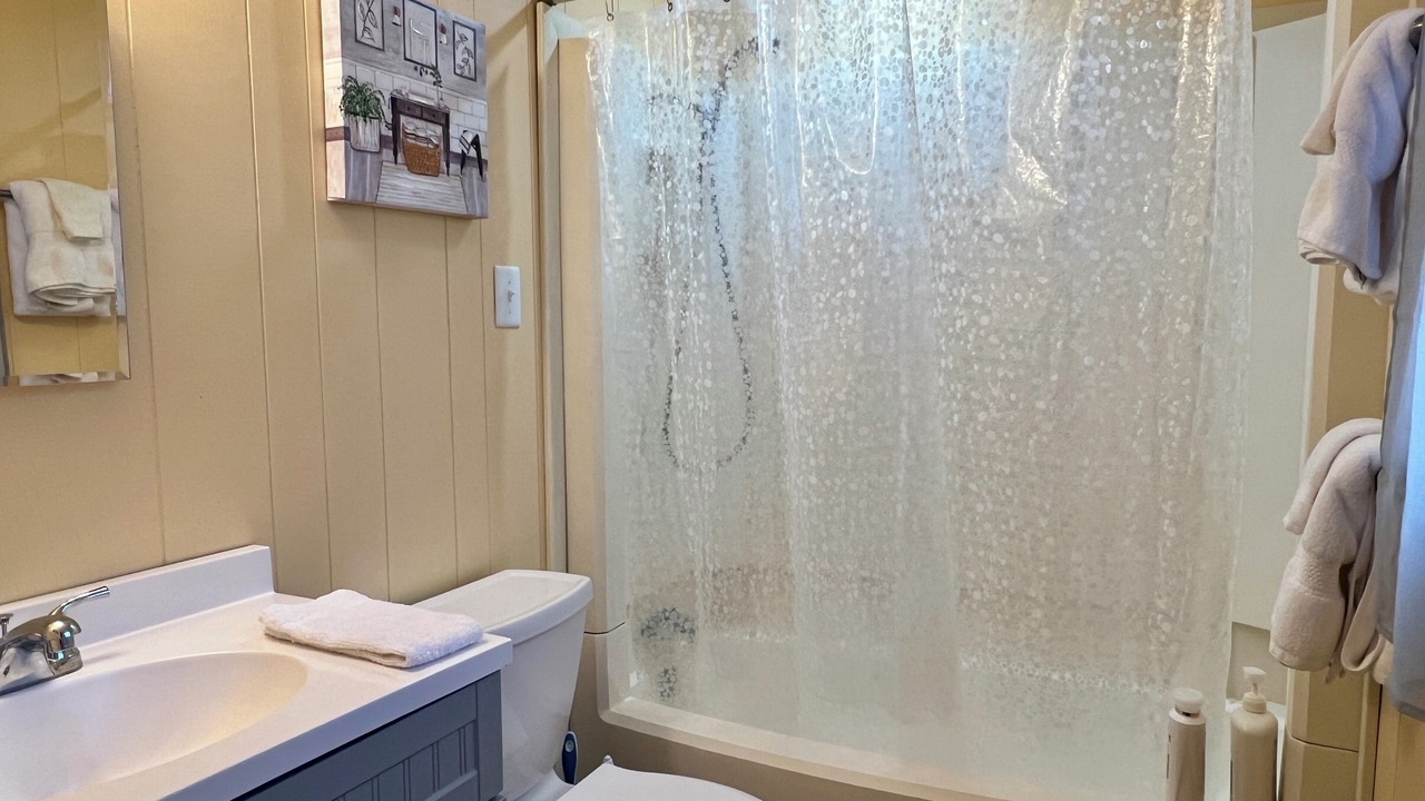 Photo of Bathroom in Lansing
