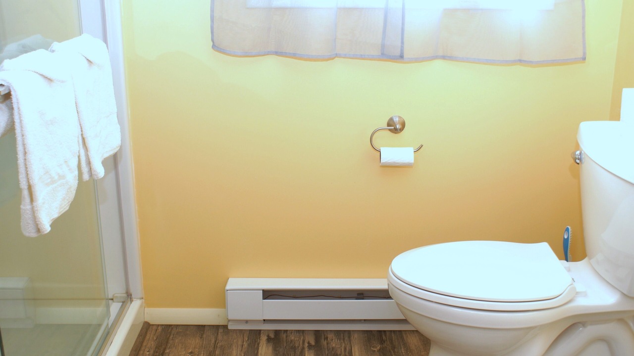 Photo of Bathroom in Lansing
