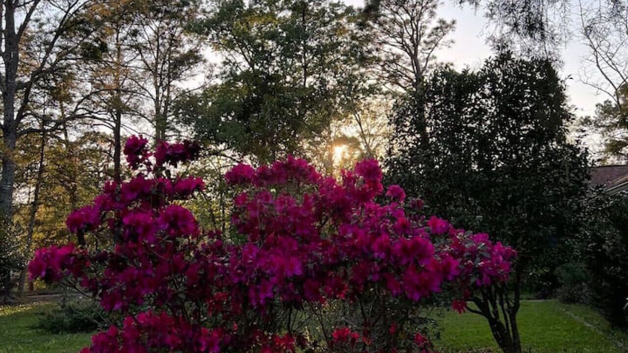 Photo of Outdoor in Beaufort