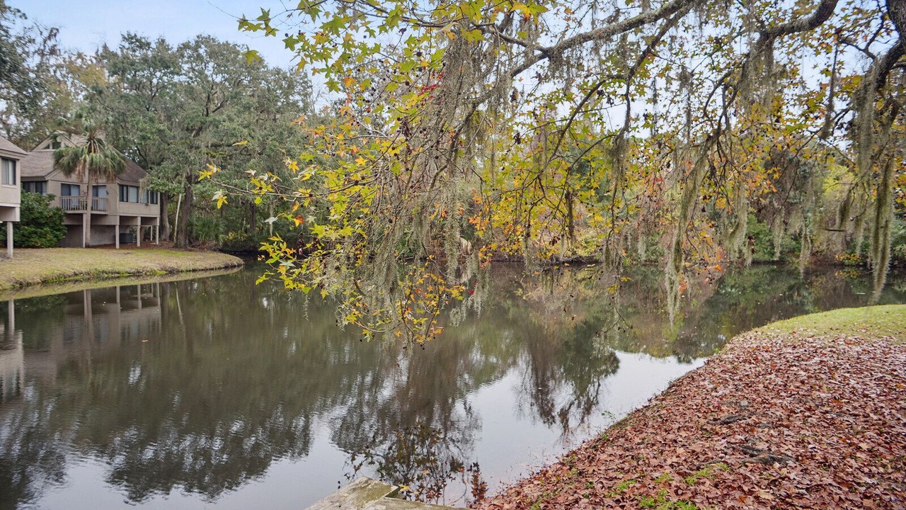Photo of Outdoor in Night Heron