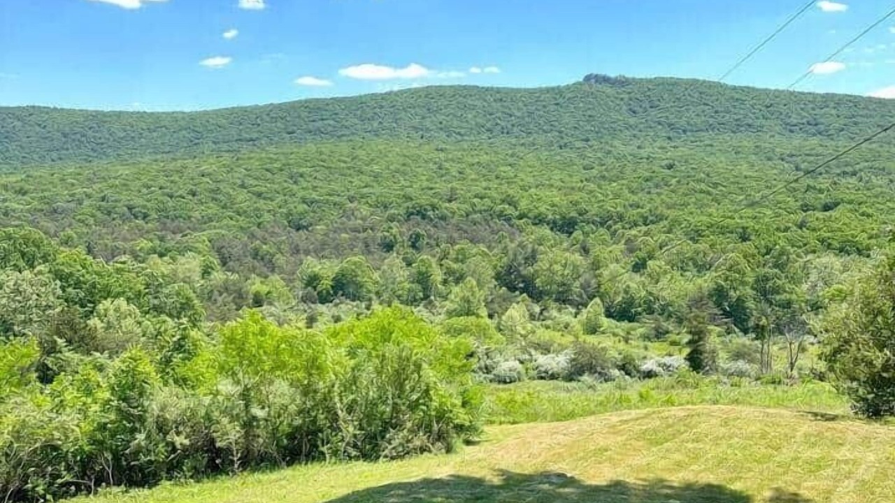Photo of Others in Wardensville