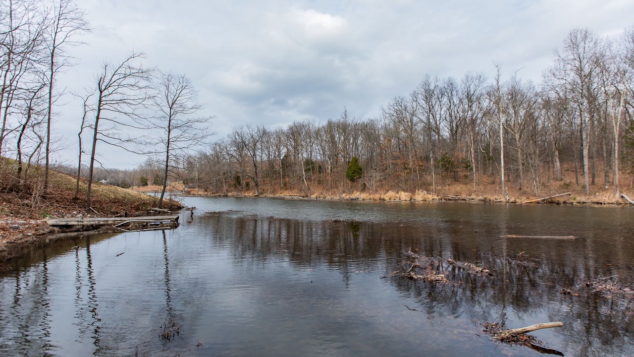 Photo of Outdoor in Marion