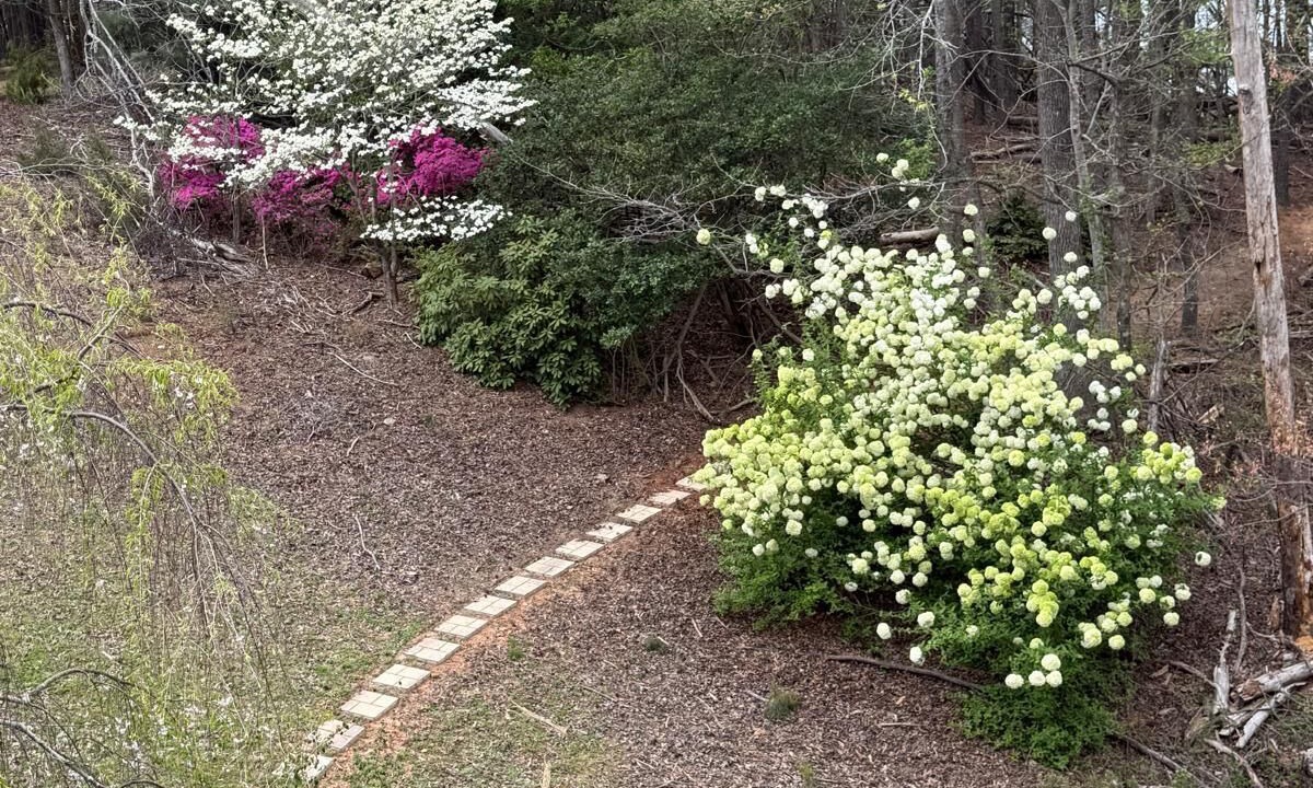 Photo of Outdoor in Buford