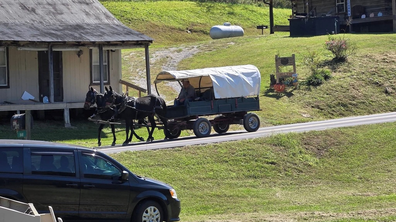Photo of Others in Booneville