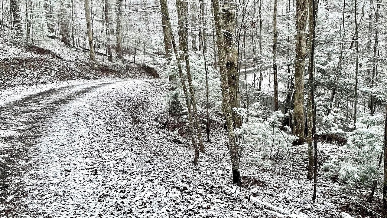 Photo of Others in Ellijay