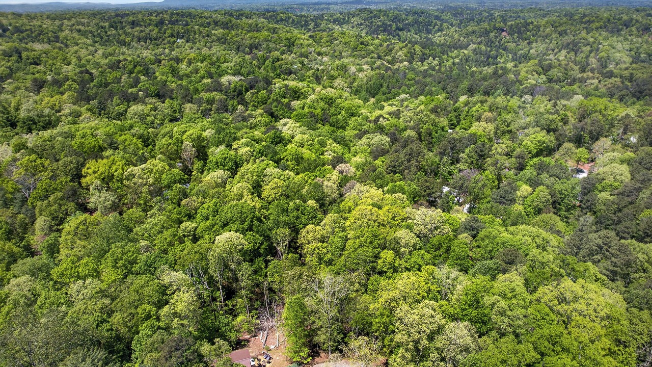 Photo of Outdoor in Ellijay