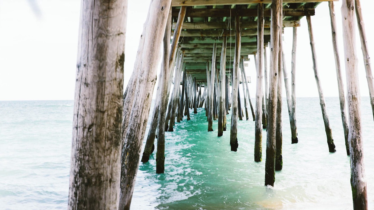 Photo of Others in Kill Devil Hills