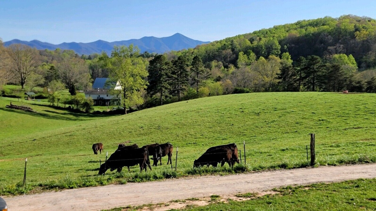 Photo of Outdoor in Candler