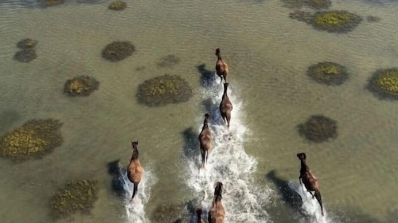 Photo of Others in Morehead City