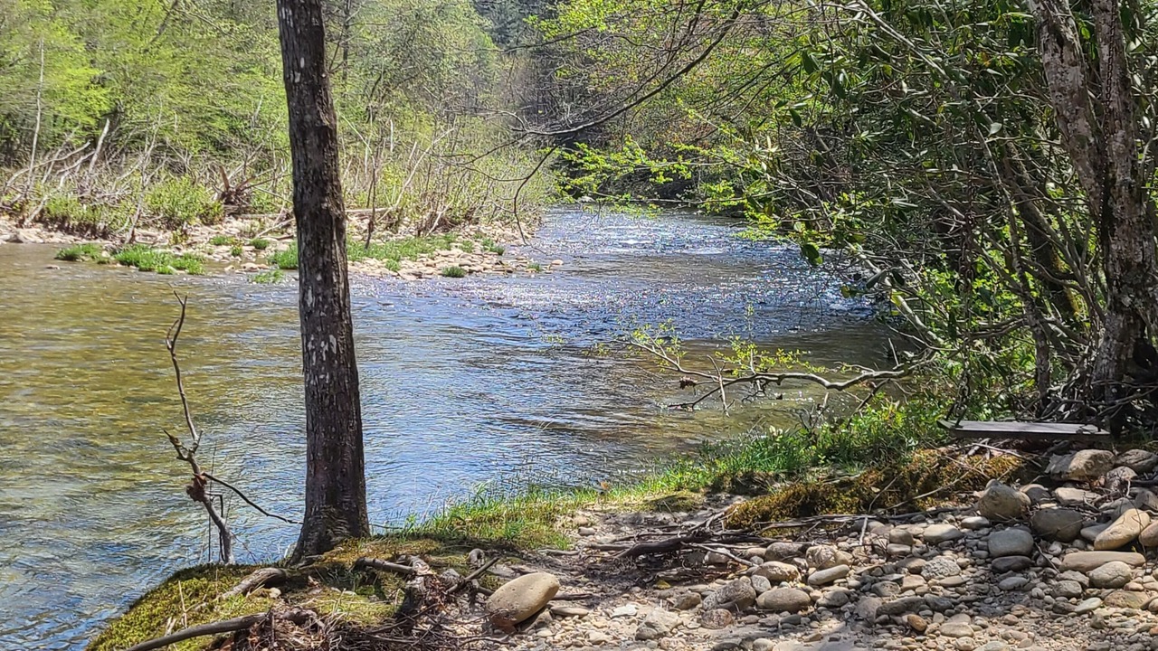 Photo of Others in Mortimer
