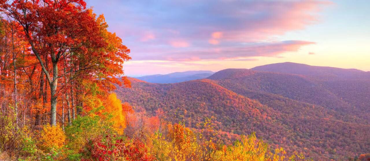 Photo of Others in Sugar Mountain