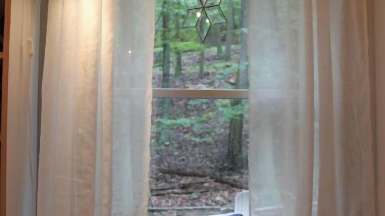 Photo of Others in The Woods
