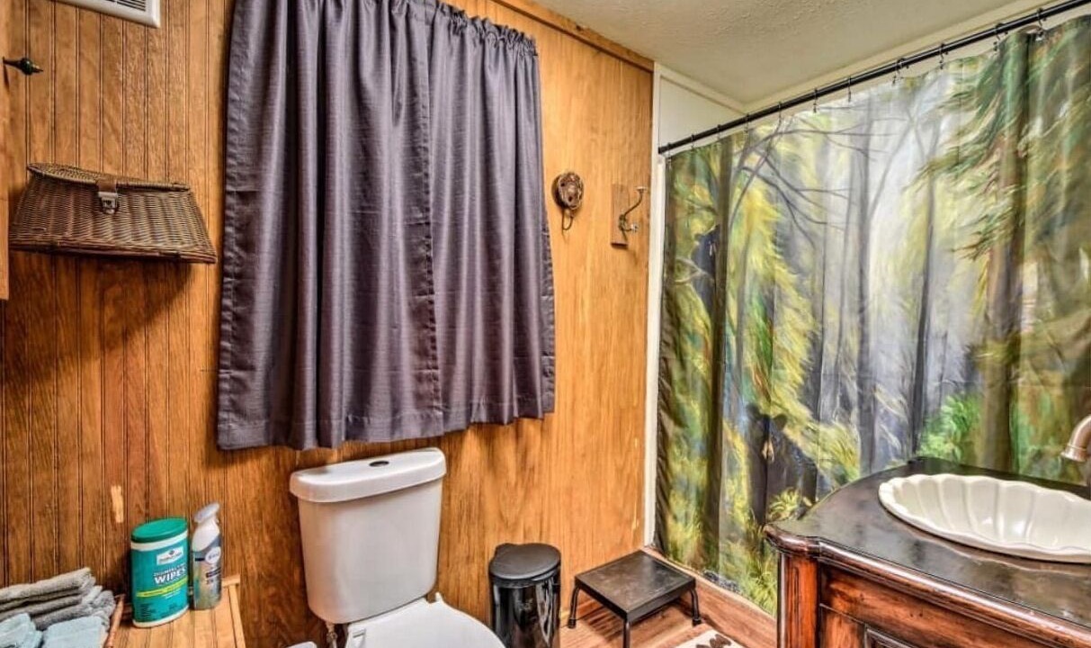 Photo of Bathroom in Hiawassee
