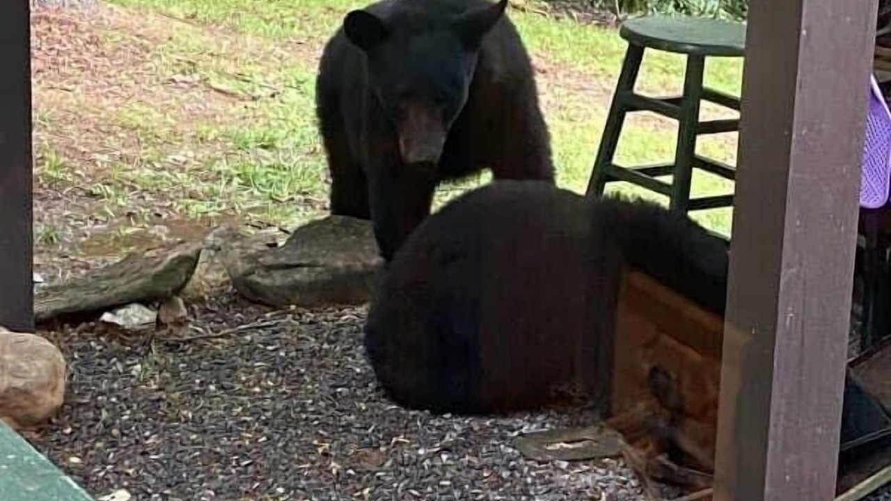 Photo of Outdoor in Hiawassee
