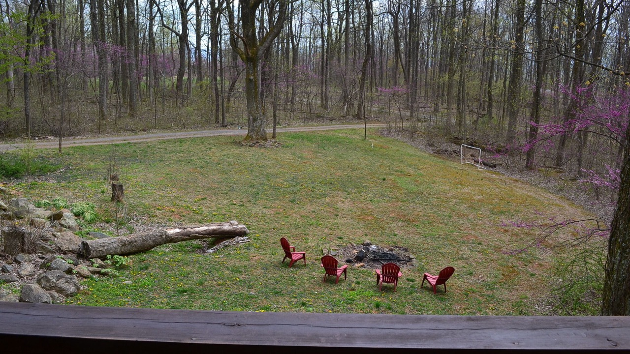 Photo of Outdoor in Linden