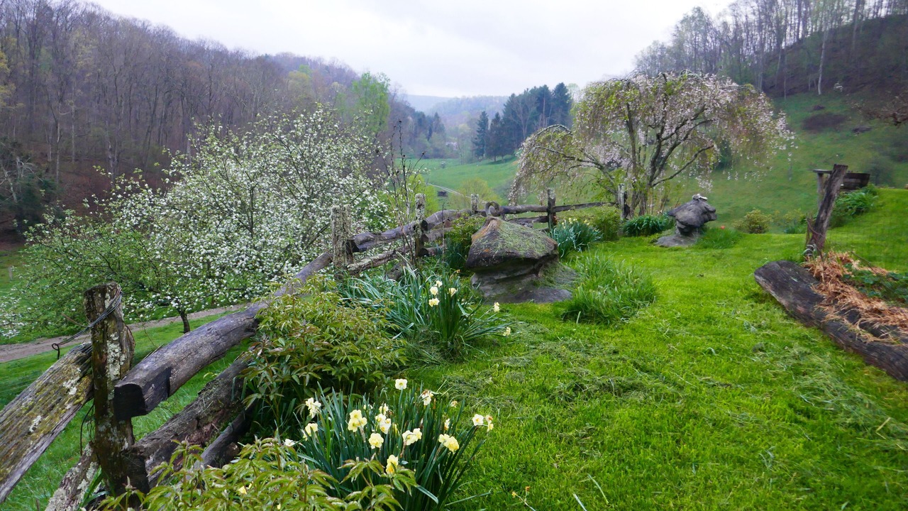 Photo of Outdoor in Renick