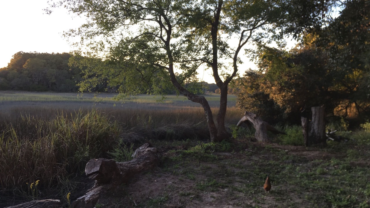 Photo of Outdoor in Burton