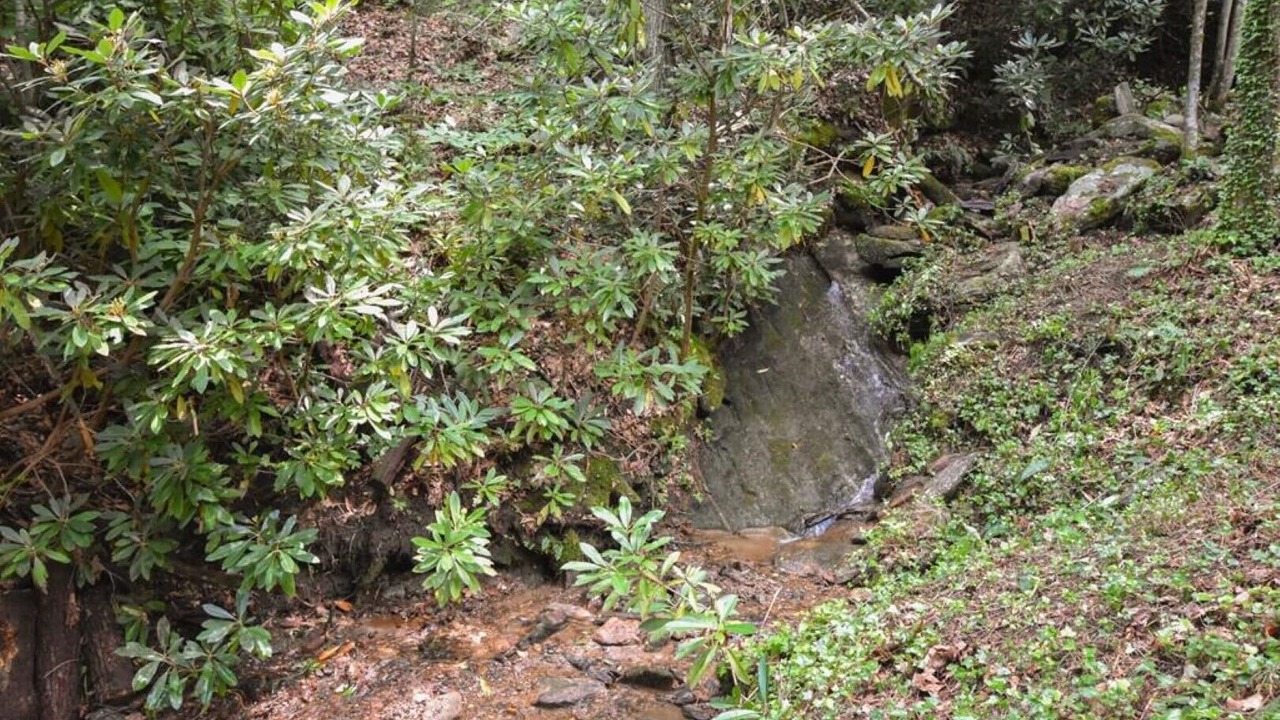 Photo of Others in Highlands