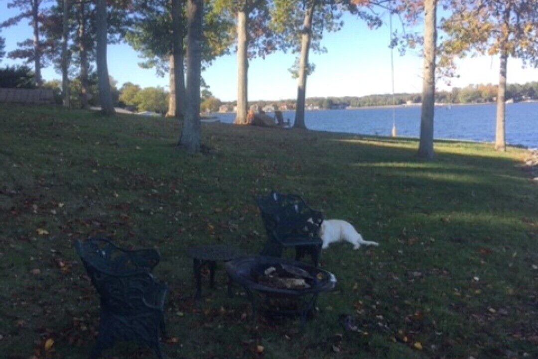 Photo of Outdoor in Mayhew