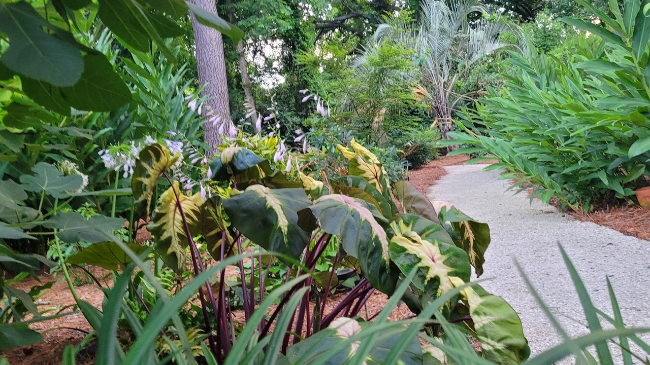 Photo of Outdoor in West Ashley
