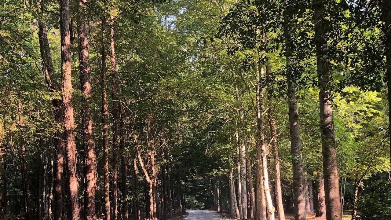 Photo of Others in Toccoa