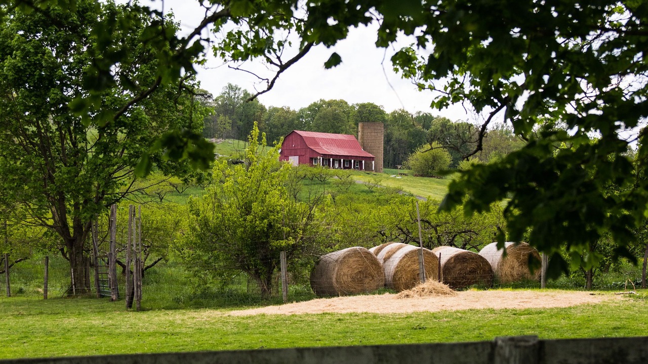 Photo of Outdoor in Linden