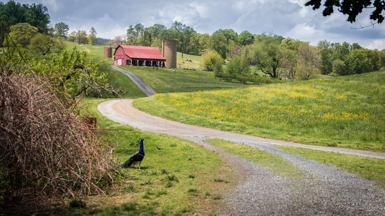 Photo of Outdoor in Linden