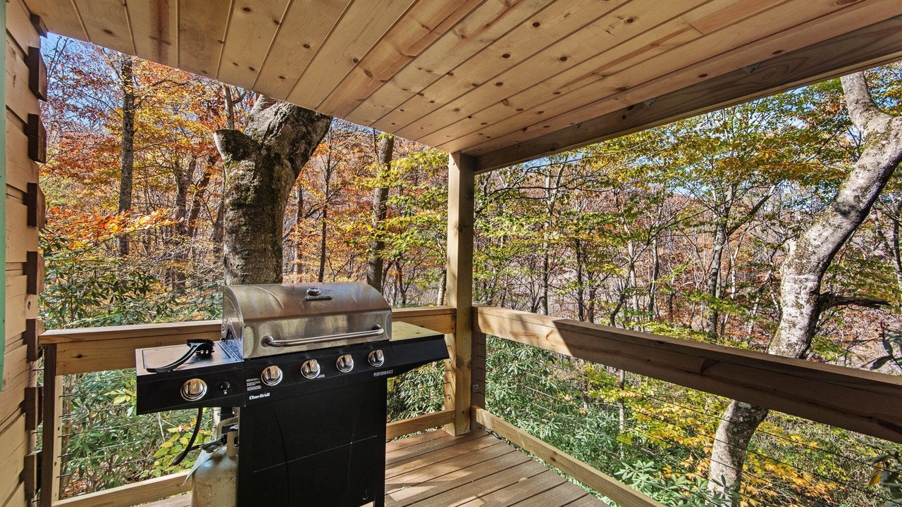 Photo of Outdoor in Todd
