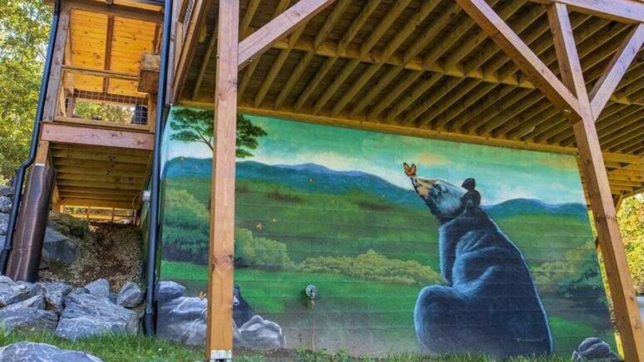 Photo of Others in Black Mountain