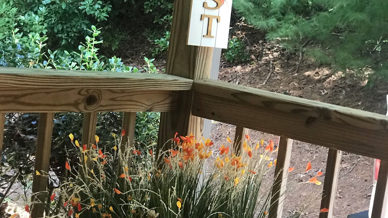 Photo of Outdoor in Hiawassee