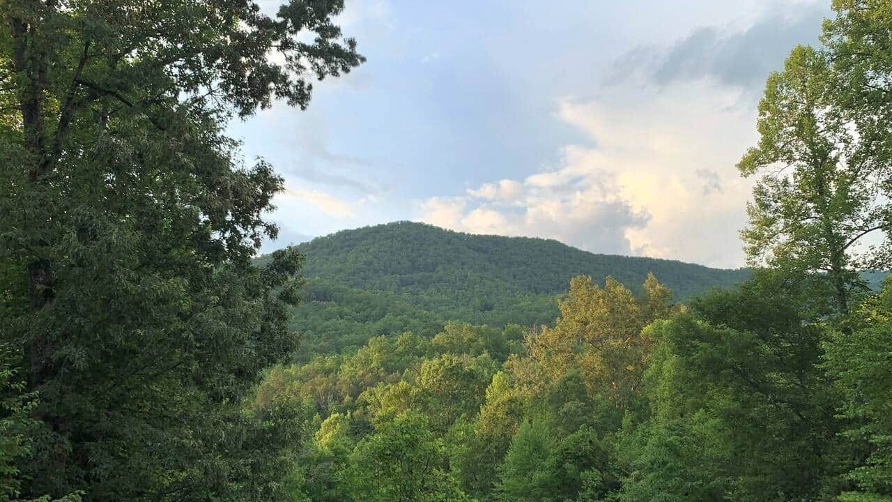 Photo of Others in Franklin