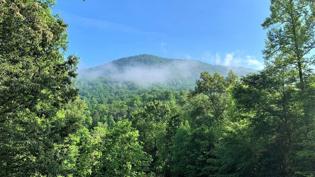 Photo of Others in Franklin