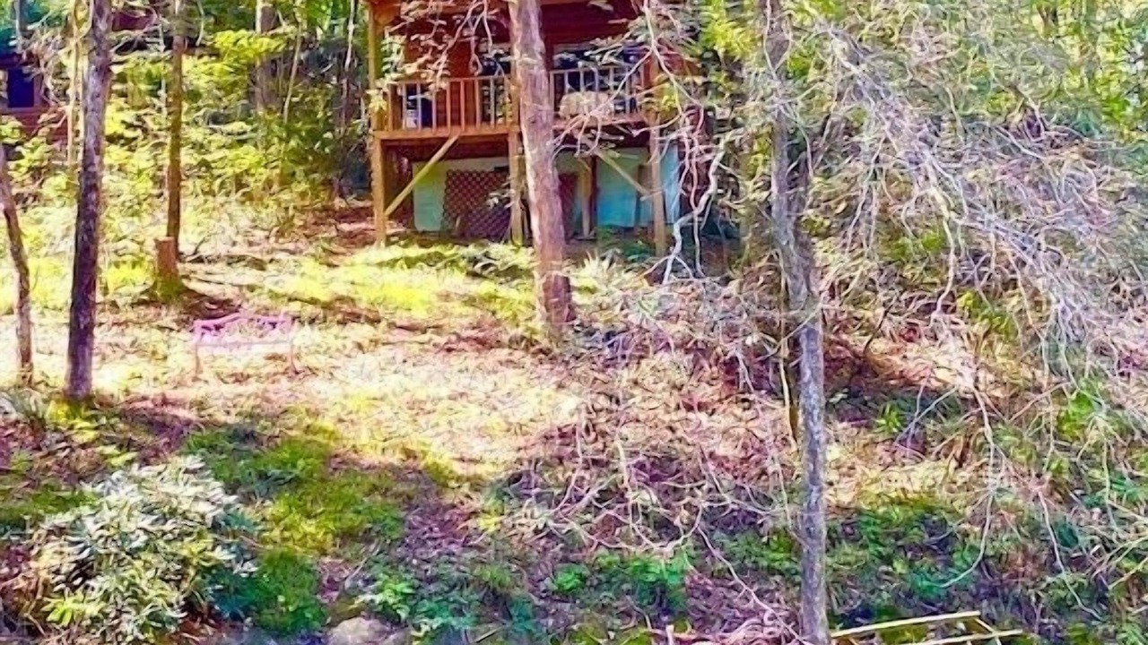 Photo of Others in Ellijay