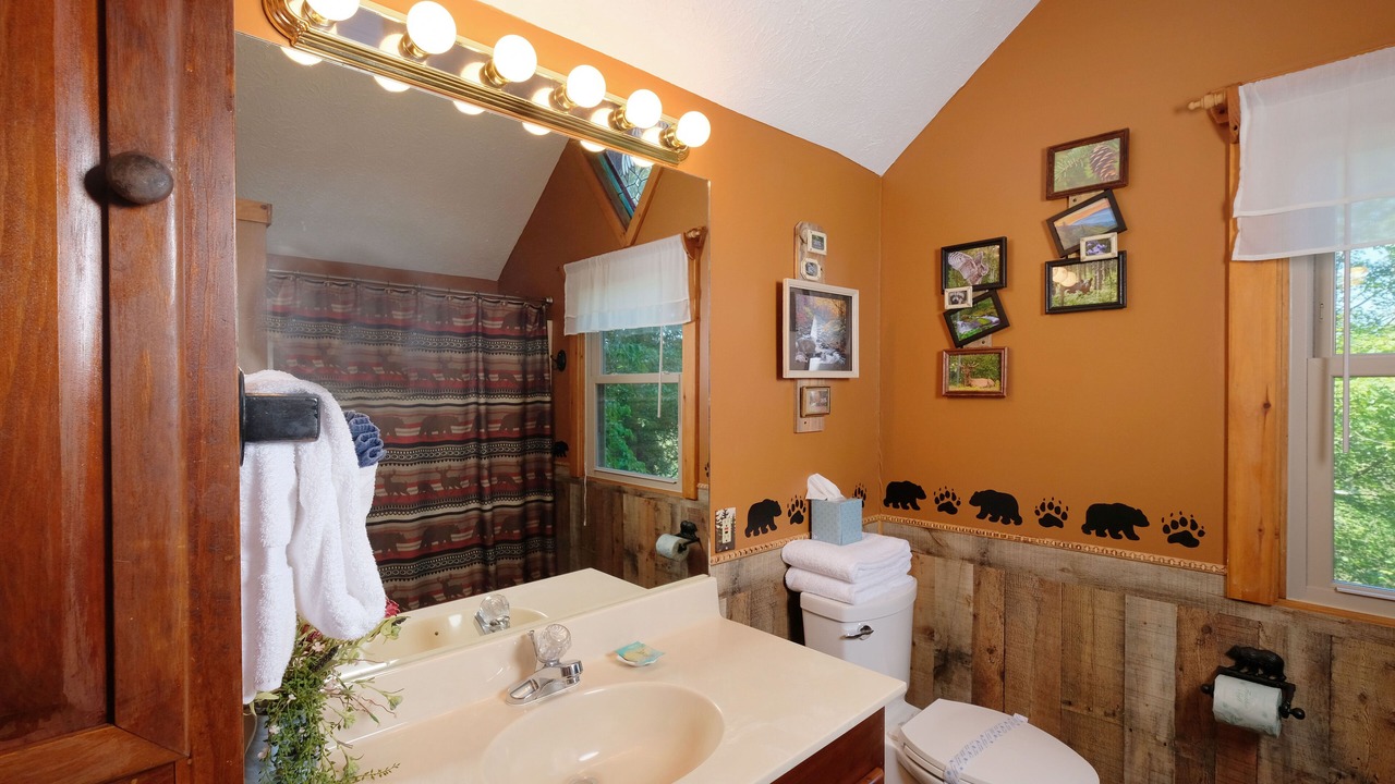 Photo of Bathroom in Sevierville