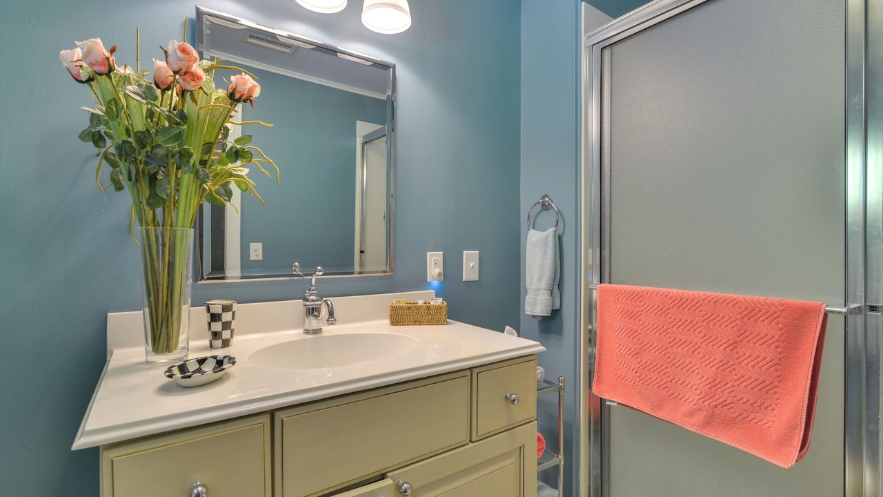 Photo of Bathroom in Little Switzerland