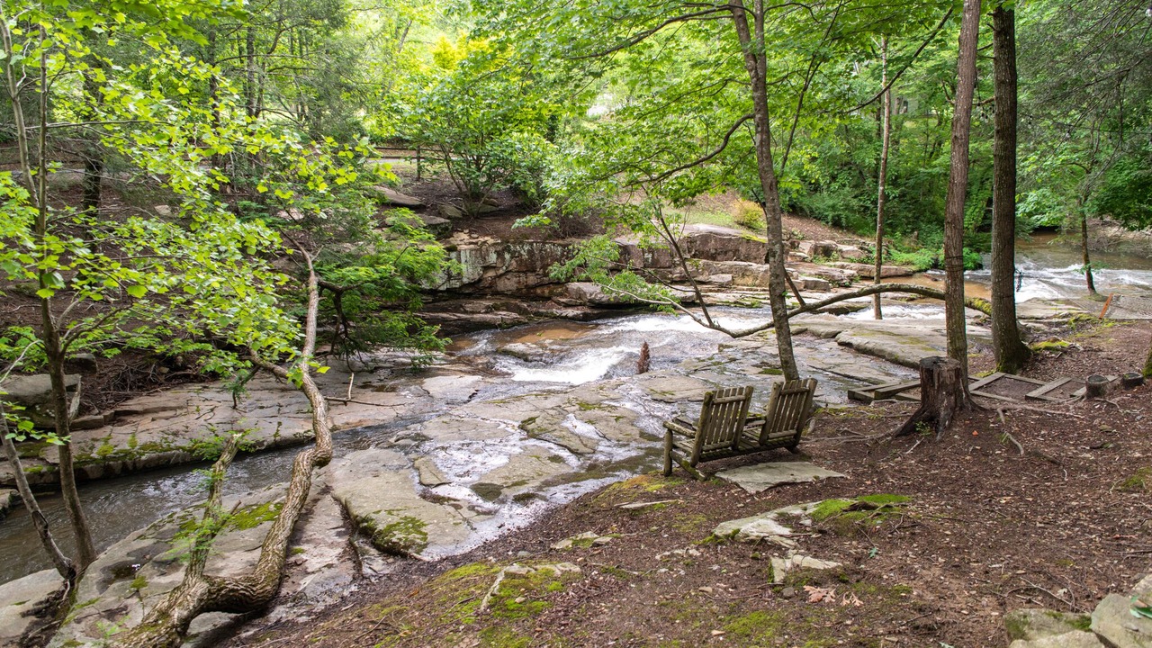 Photo of Others in Lake Lure