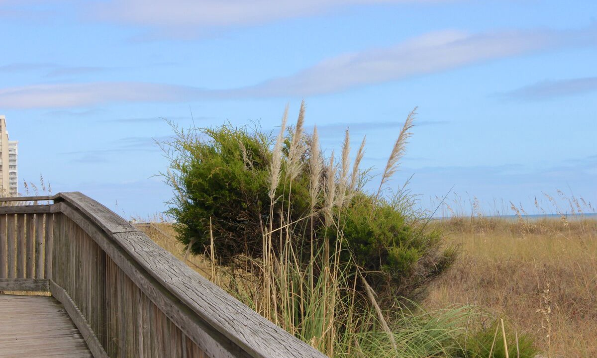 Photo of Others in Arcadian Shores