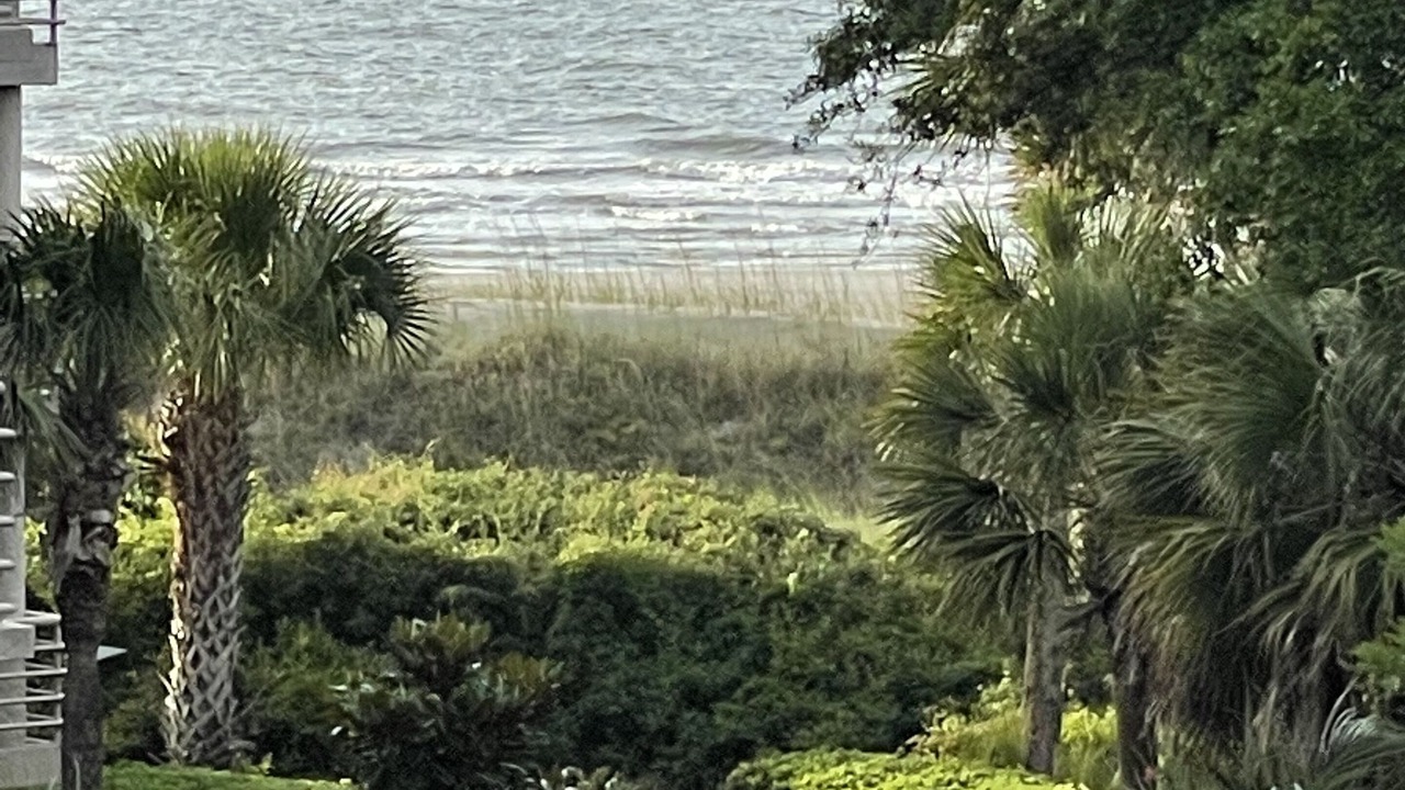 Photo of Outdoor in Palmetto Dunes