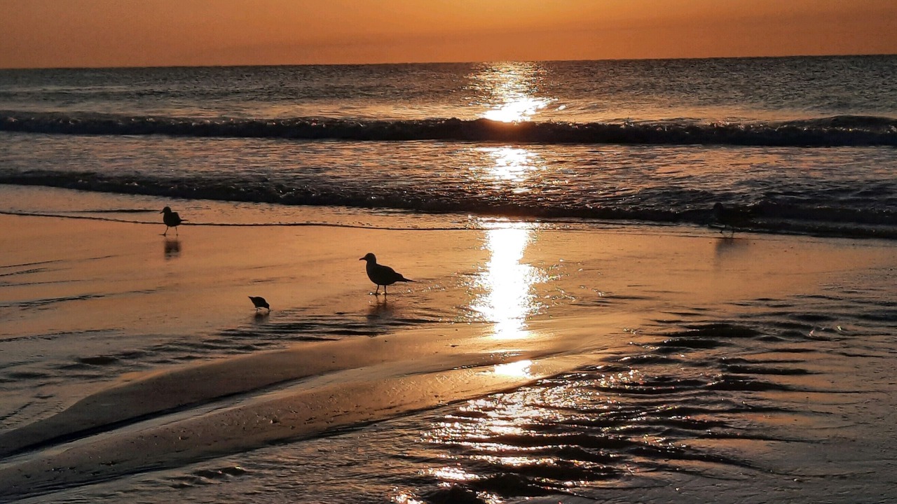 Photo of Others in Surfside Beach