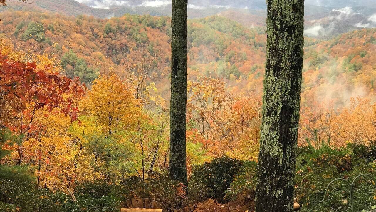 Photo of Others in Apple Ridge