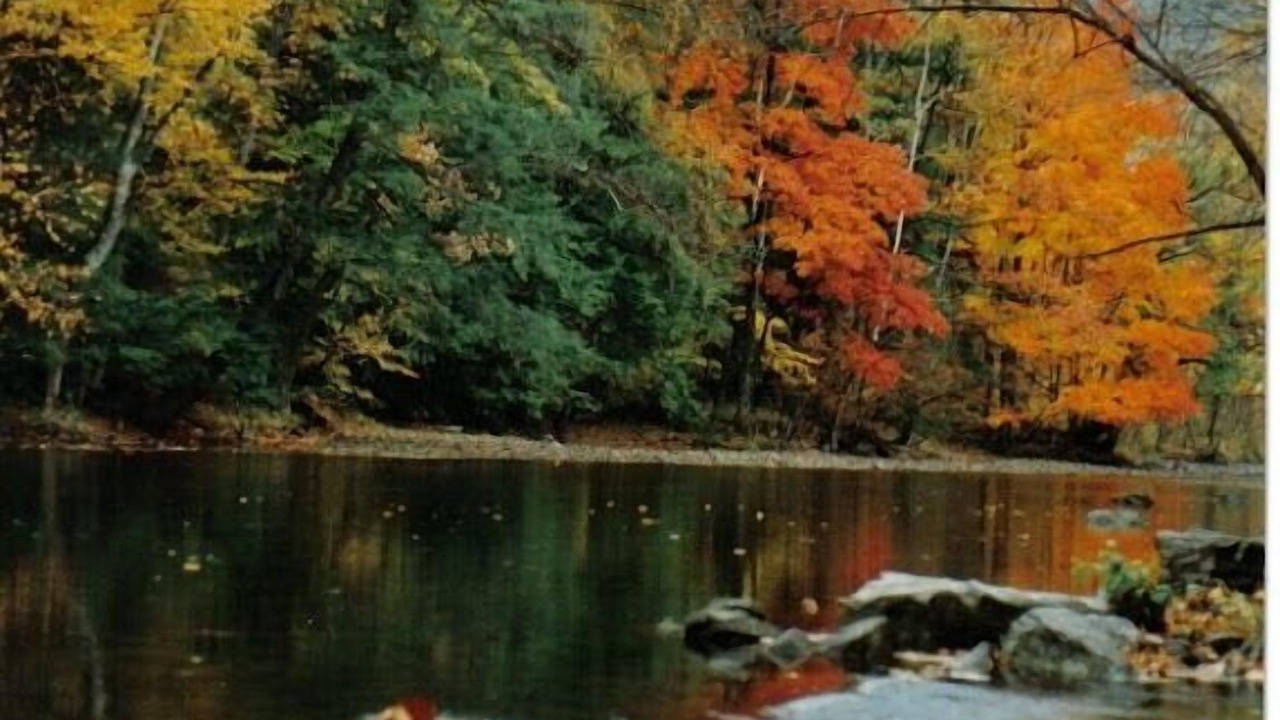 Photo of Others in Elkins