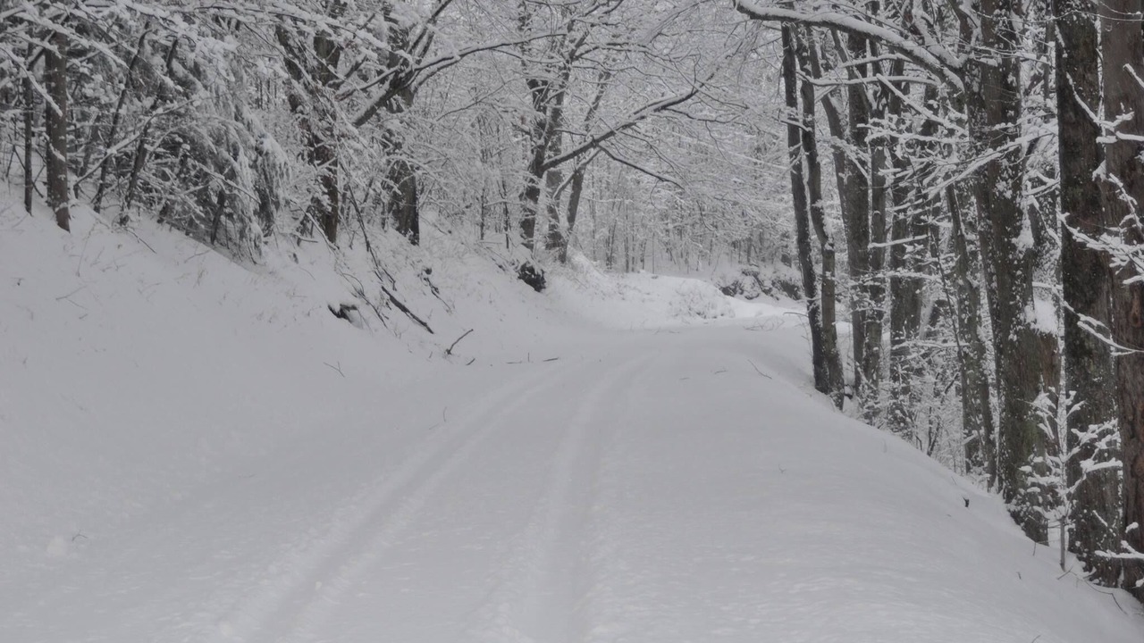 Photo of Others in Elkins
