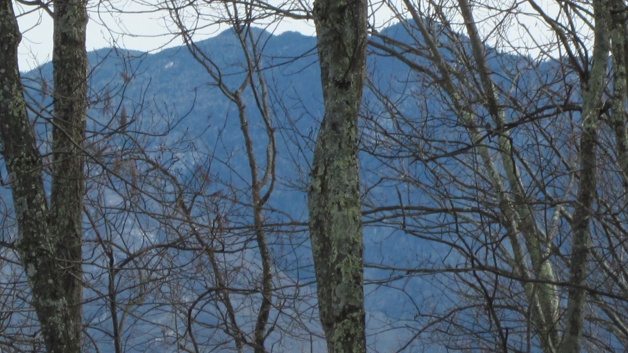 Photo of Others in Chalet Village