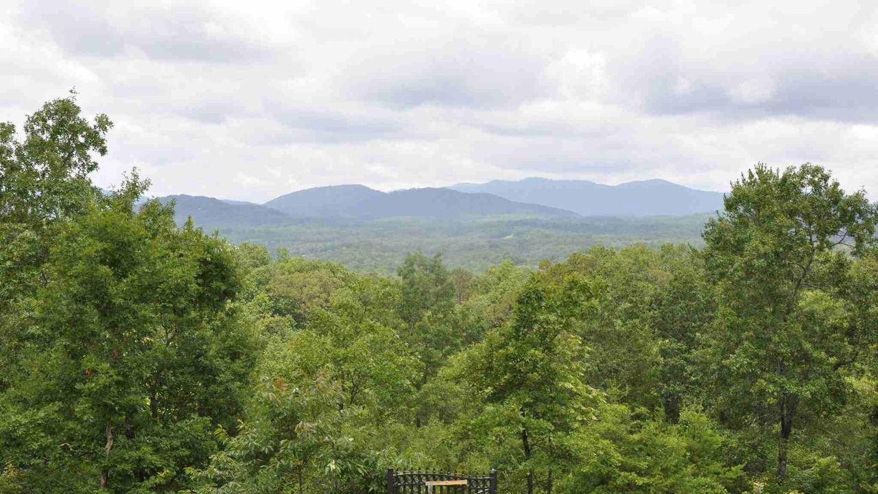 Photo of Others in Murphy