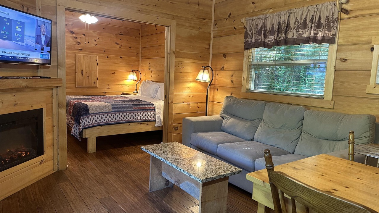Photo of Livingroom in Candler