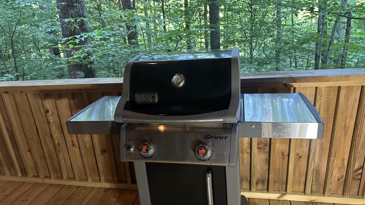 Photo of Outdoor in Candler