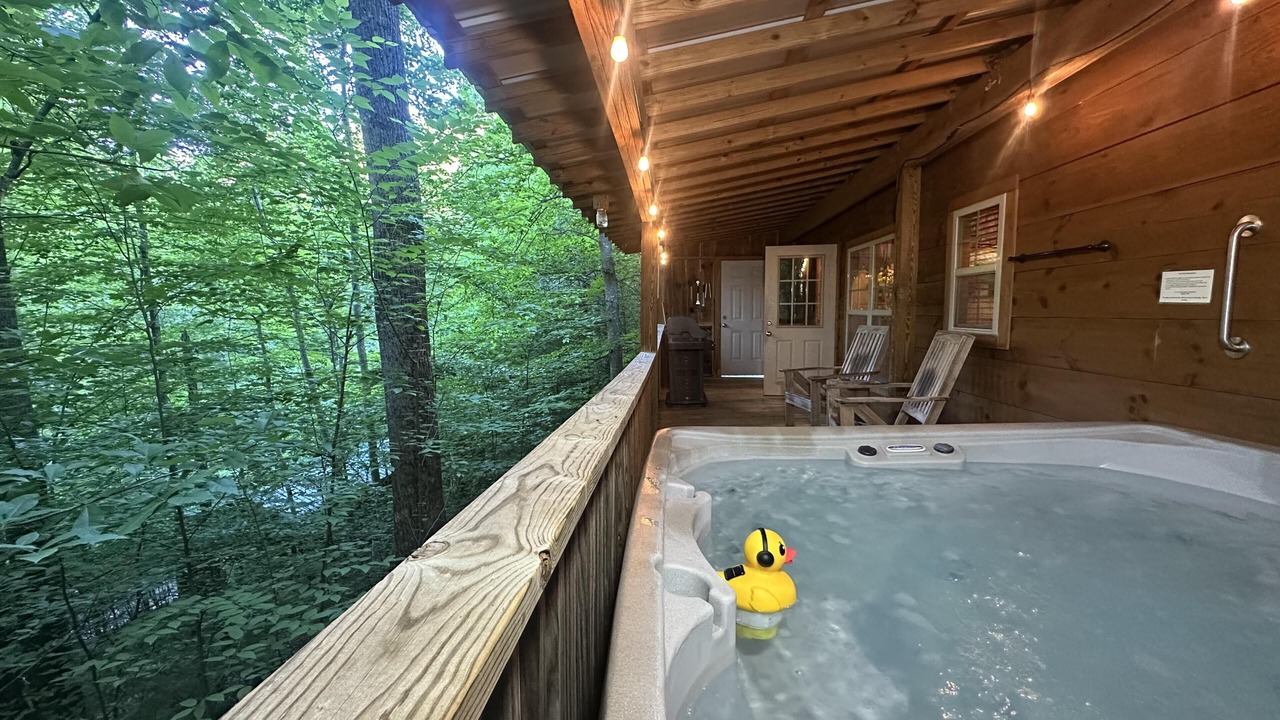 Photo of Outdoor in Candler