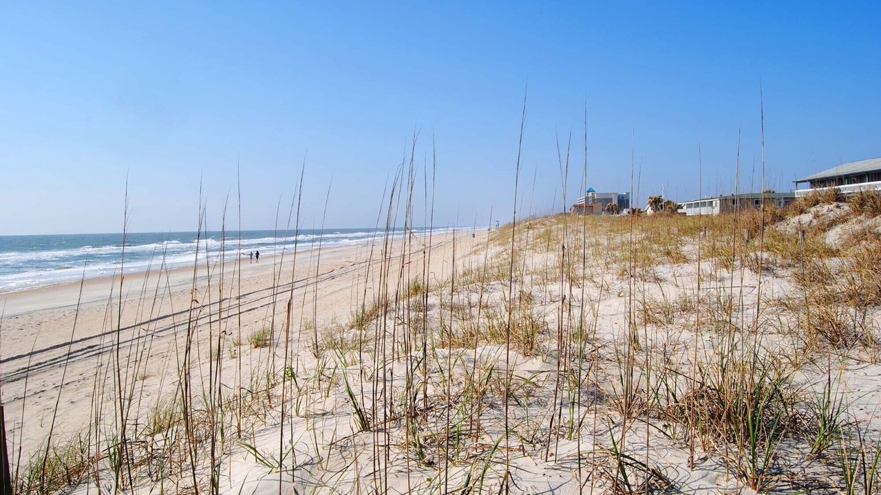 Photo of Others in North Carolina Coast